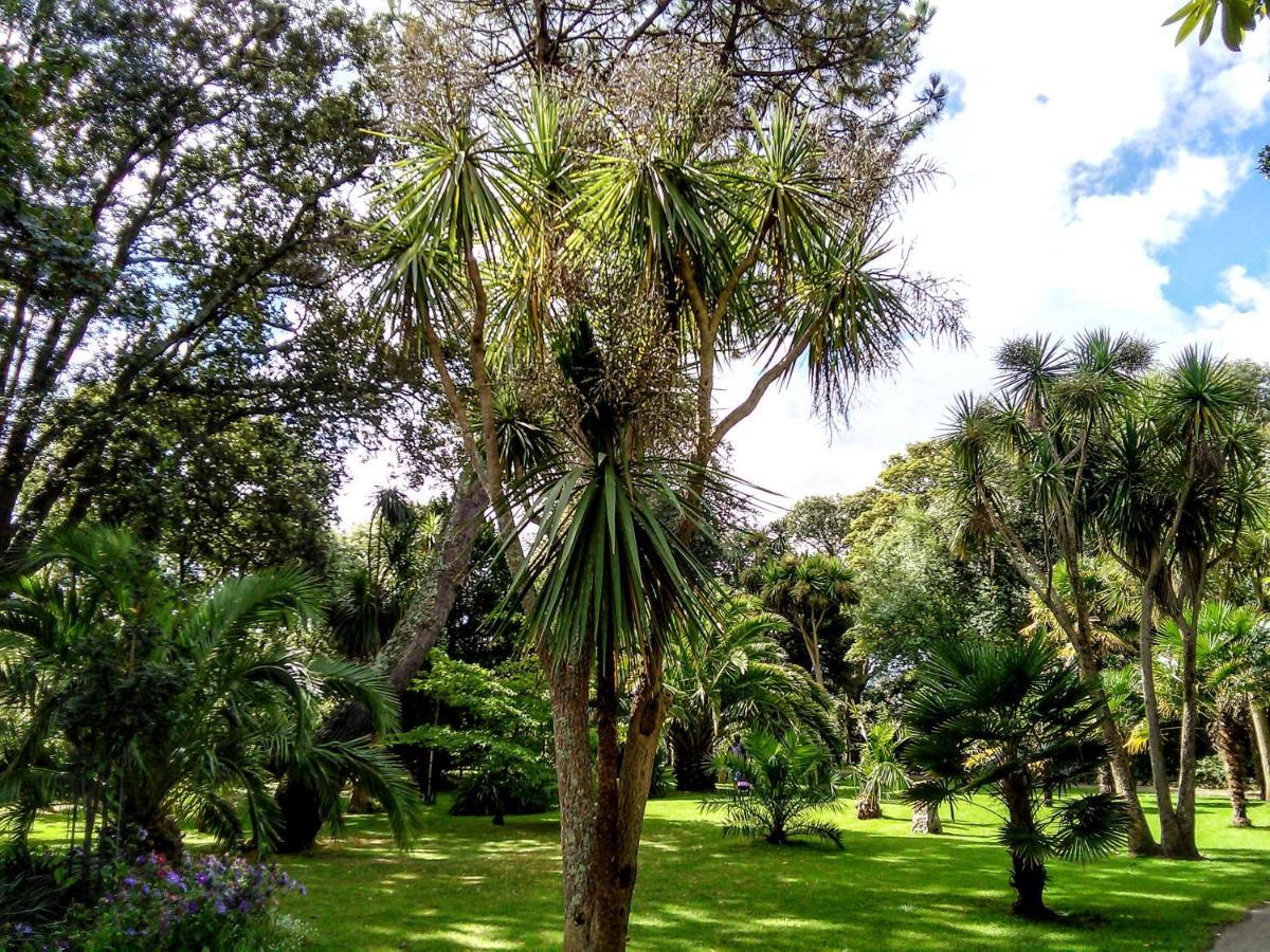 Treventon Guest House Hikkaduwa Dış mekan fotoğraf